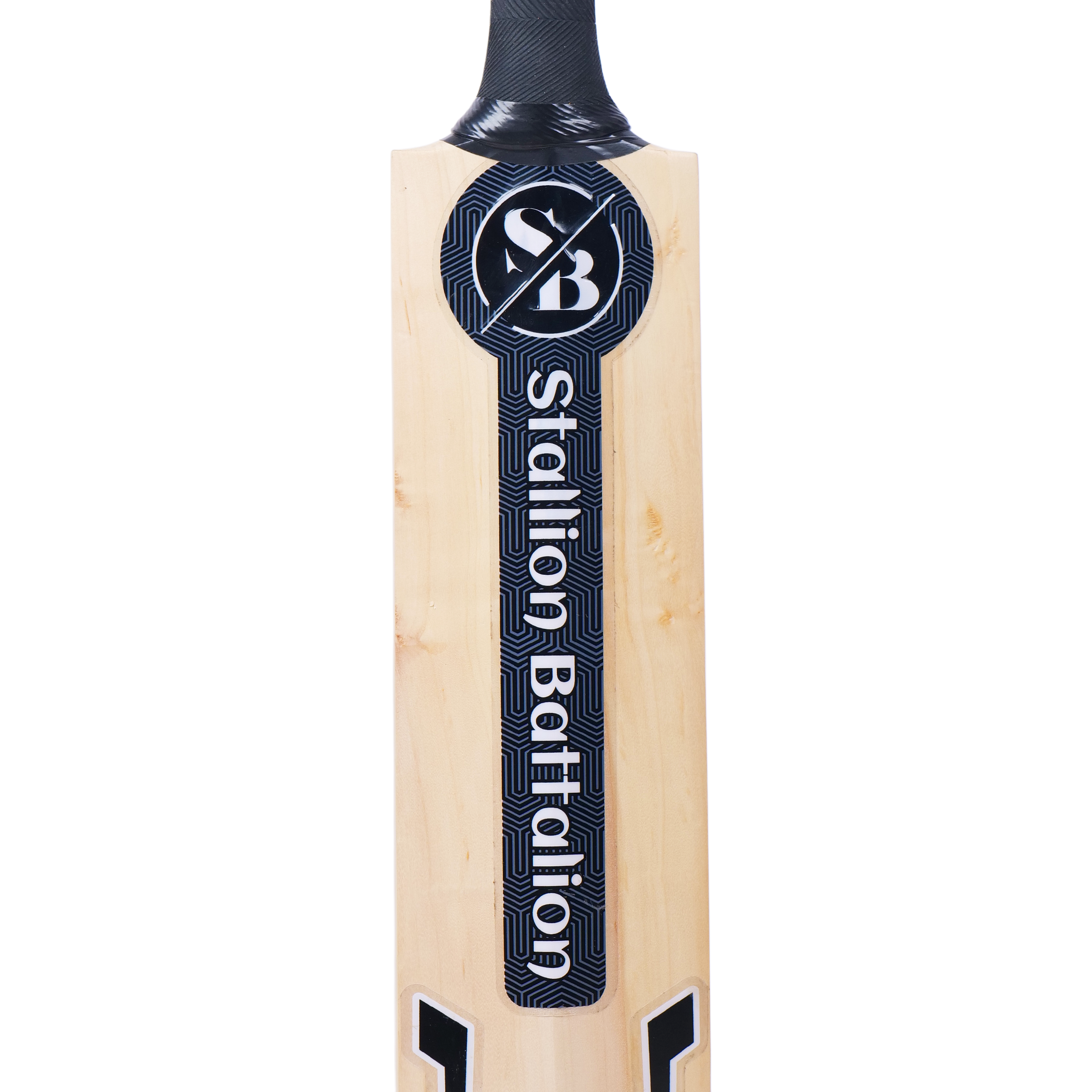 Bold Black | Kashmiri Willow