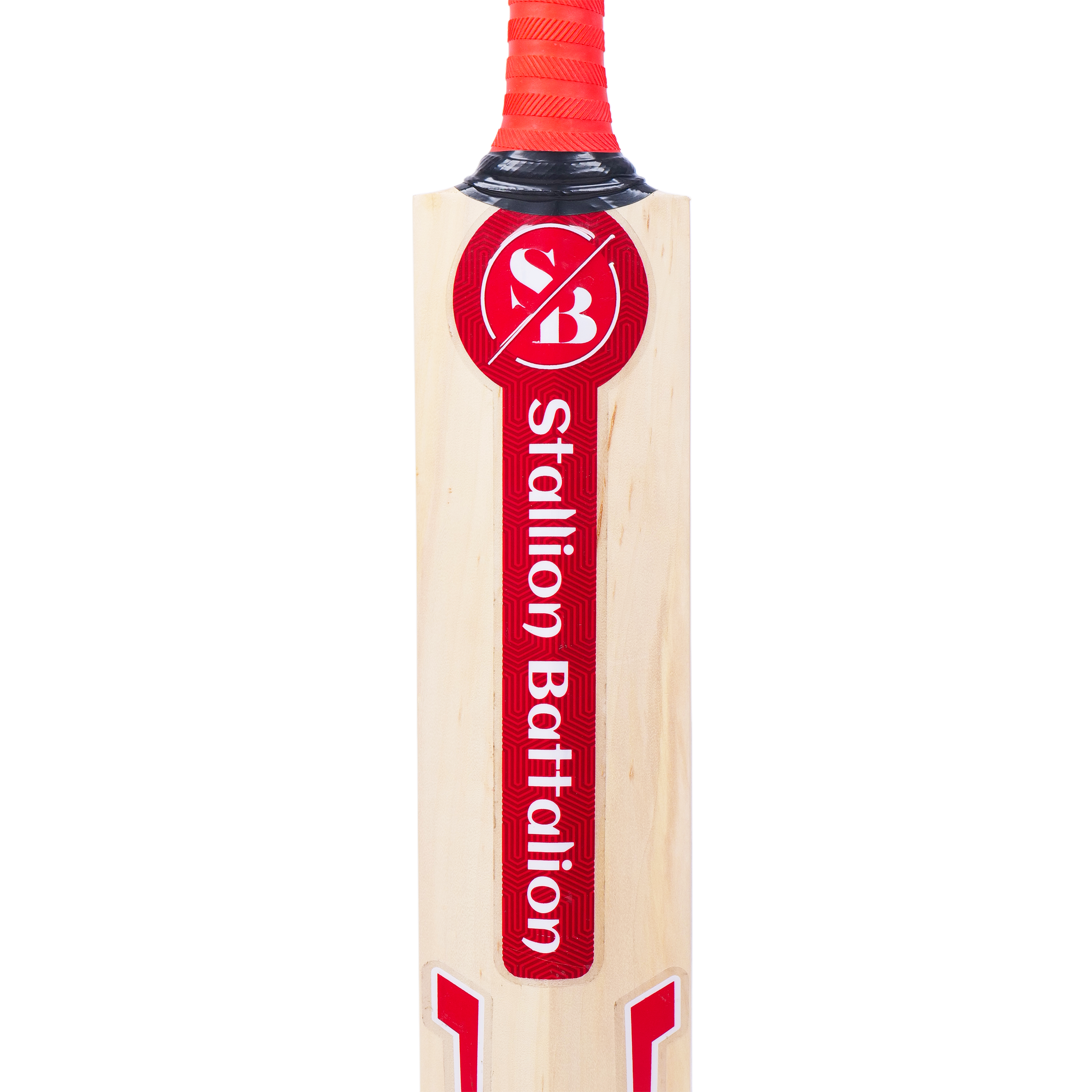 Fiery Red | Kashmiri Willow