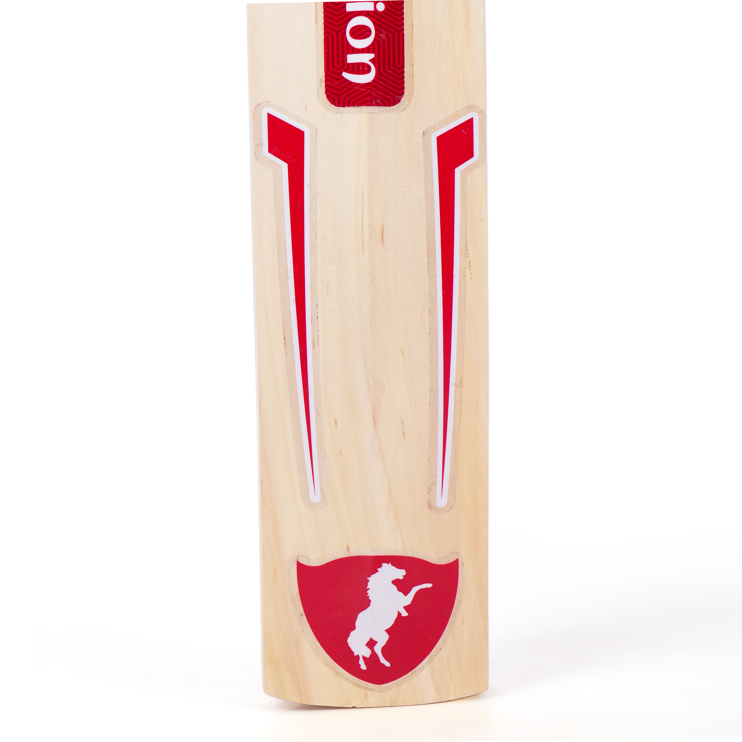 Fiery Red | Kashmiri Willow